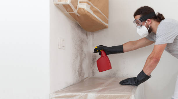 Professional Mold Cleanup technician working in Hanscom AFB, MA