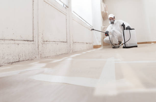 24/7 Emergency Mold Cleanup experts in Hanscom AFB, MA