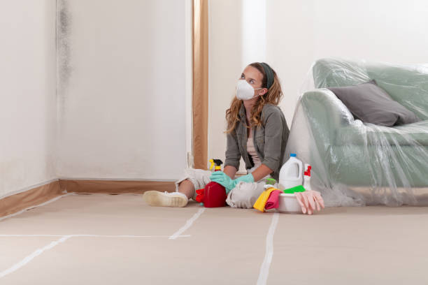 Reliable Mold Cleanup contractor in Hanscom AFB, MA by Cheap Mold Removal