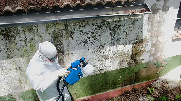 Top rated local Mold Cleanup specialists in Hanscom AFB, MA